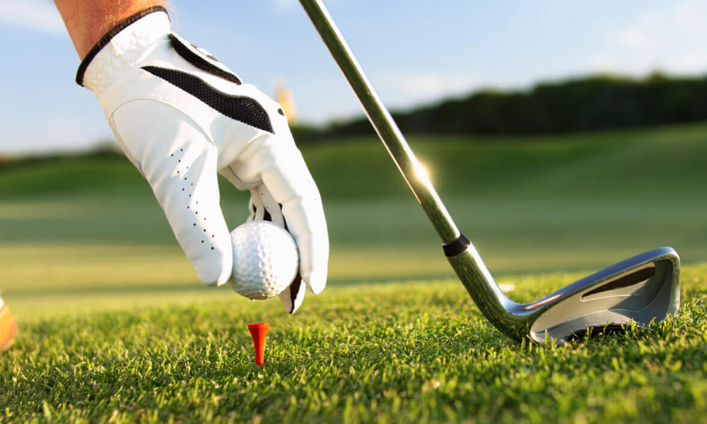 Finding Your Ultimate Swing Mentor